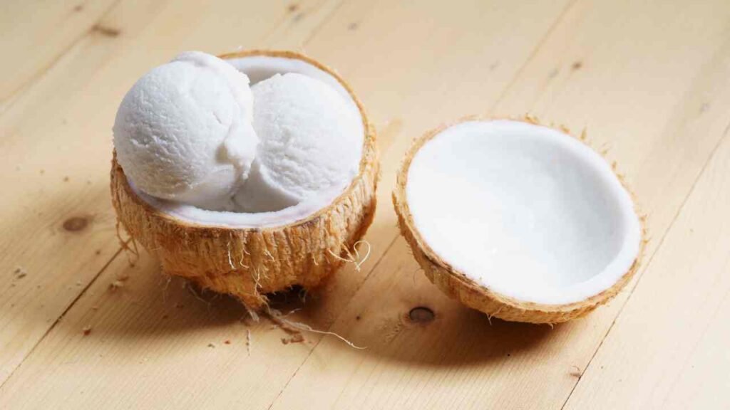 Coconut Milk Ice Cream