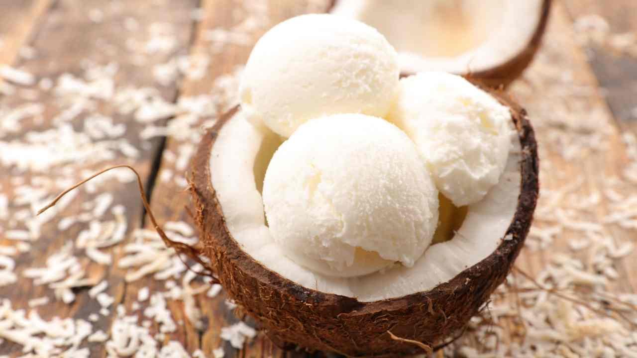 Coconut Milk Ice Cream